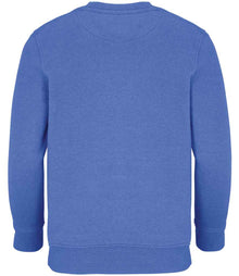 SOL'S Kids Columbia Sweatshirt 04239 - 04239 Royal Blue Back