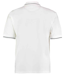 Kustom Kit St Mellion Tipped Cotton Piqué Polo Shirt K606 - K606 White/Navy Back
