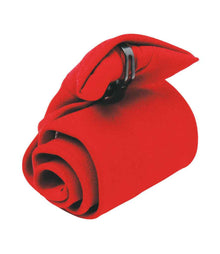 Premier Clip on Tie PR710 - Red