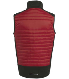 Regatta E-Volve Unisex Thermal Hybrid Bodywarmer RG381 - RG381 Classic Red/Black Back