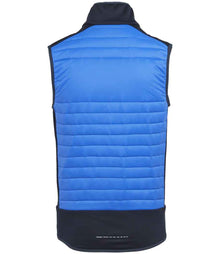 Regatta E-Volve Unisex Thermal Hybrid Bodywarmer RG381 - RG381 Strong Blue/Navy Back