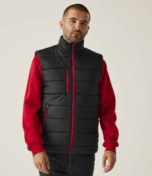 Regatta Navigate Thermal Bodywarmer RG445 - RG445 Black/Classic Red Model