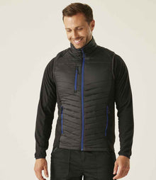 Regatta Navigate Hybrid Bodywarmer RG447 - RG447 Black/New Royal Blue Model