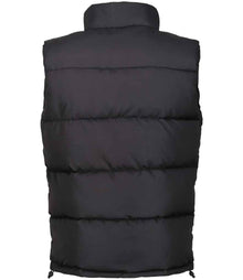 Regatta Northdale Insulated Bodywarmer RG449 - RG449 Black Back