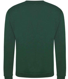 Pro RTX Pro Sweatshirt RX301 - RX301 Bottle Green Back