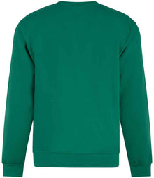 Pro RTX Pro Sweatshirt RX301 - RX301 Kelly Green Back