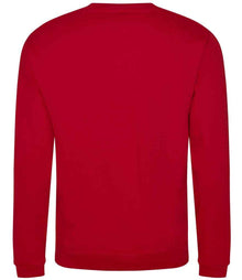 Pro RTX Pro Sweatshirt RX301 - RX301 Red Back