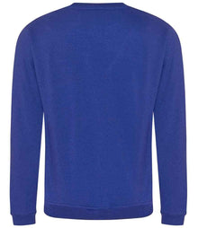 Pro RTX Pro Sweatshirt RX301 - RX301 Royal Blue Back