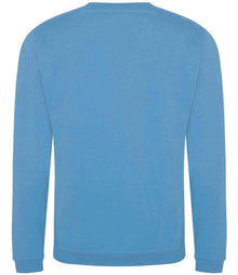 Pro RTX Pro Sweatshirt RX301 - RX301 Sky Blue Back