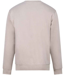 Pro RTX Pro Sweatshirt RX301 - RX301 Stone Back